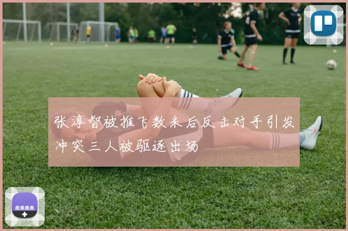 张淳智被推飞数米后反击对手引发冲突三人被驱逐出场